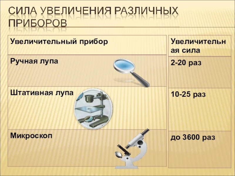 Лабораторная работа лупа. Приборы в биологии. Строение увеличительных приборов микроскоп. Карточка увеличительные приборы микроскоп. Карточка увеличительные приборы микроскоп.