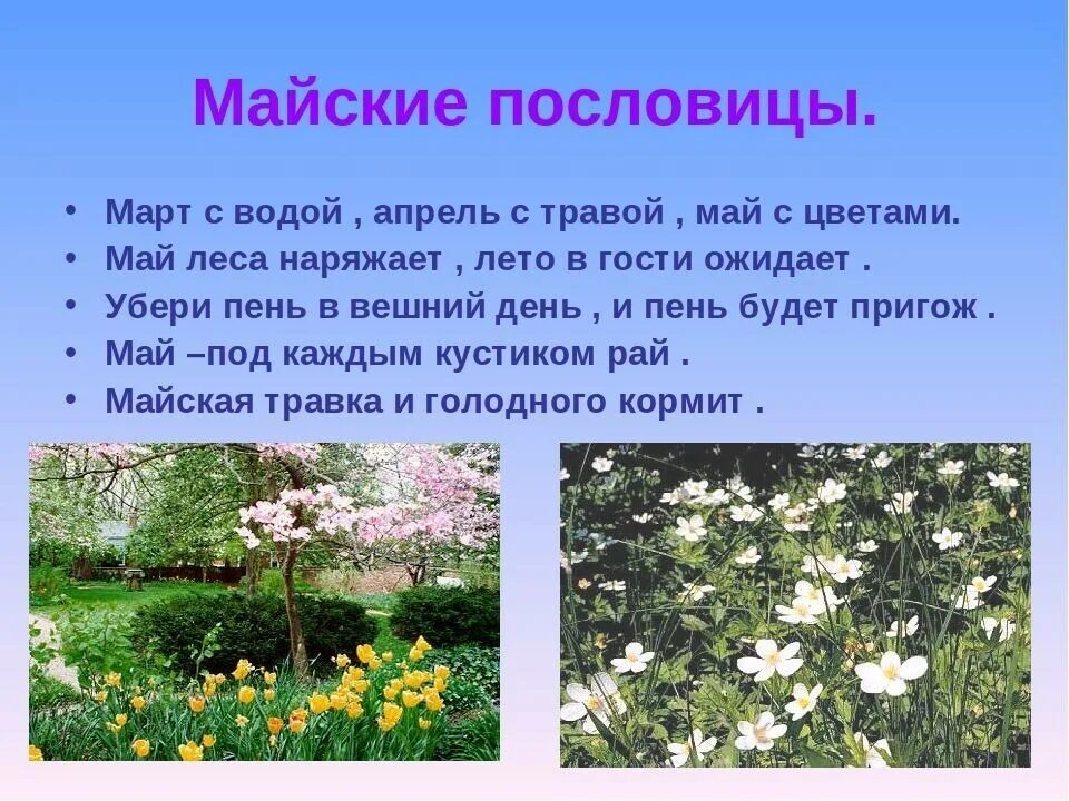 Что происходит в лесу в мае. Стихи про май и цветы. Пословицы и поговорки про май месяц. Май приметы для детей. Загадки про апрель и май.