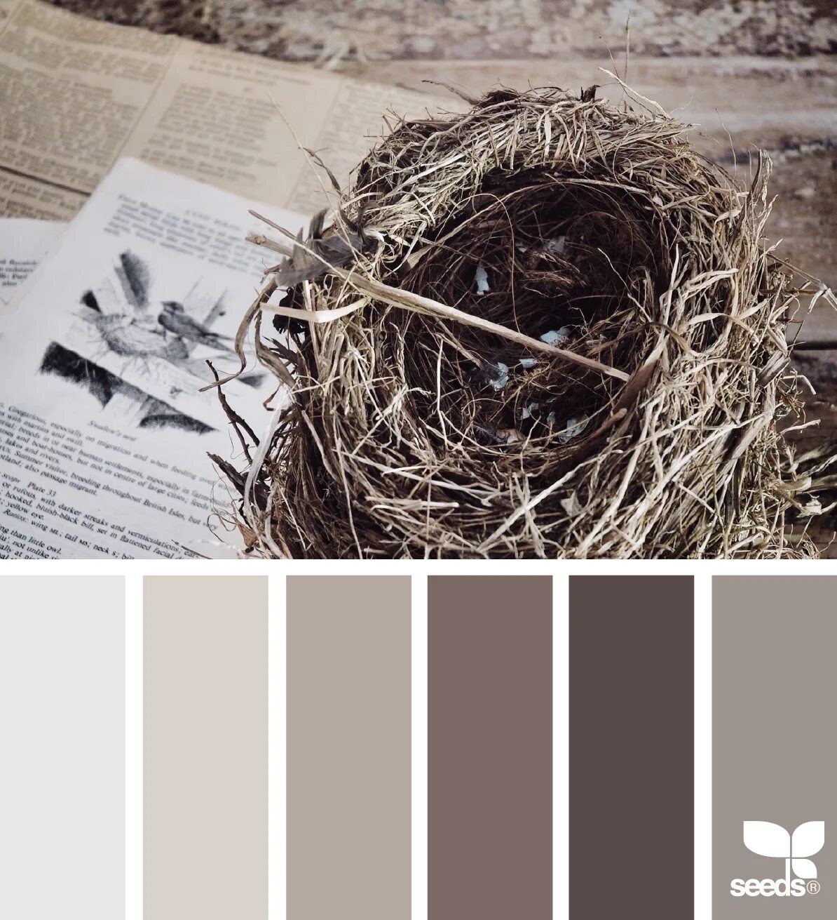 Taupe color