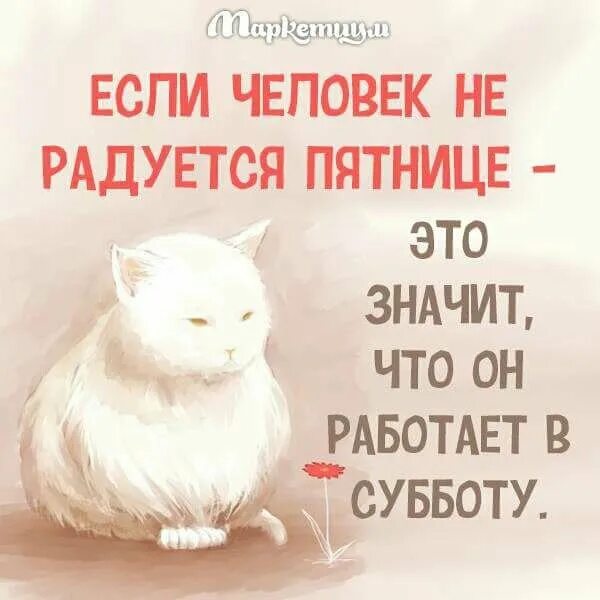 Если человек не радуется пятнице. Человек не радуется пятнице значит работает в субботу. Кто не радуется пятнице, тот кто работает в субботу. Если человек не радуется пятнице значит он работает в субботу. Пятница рабочая суббота