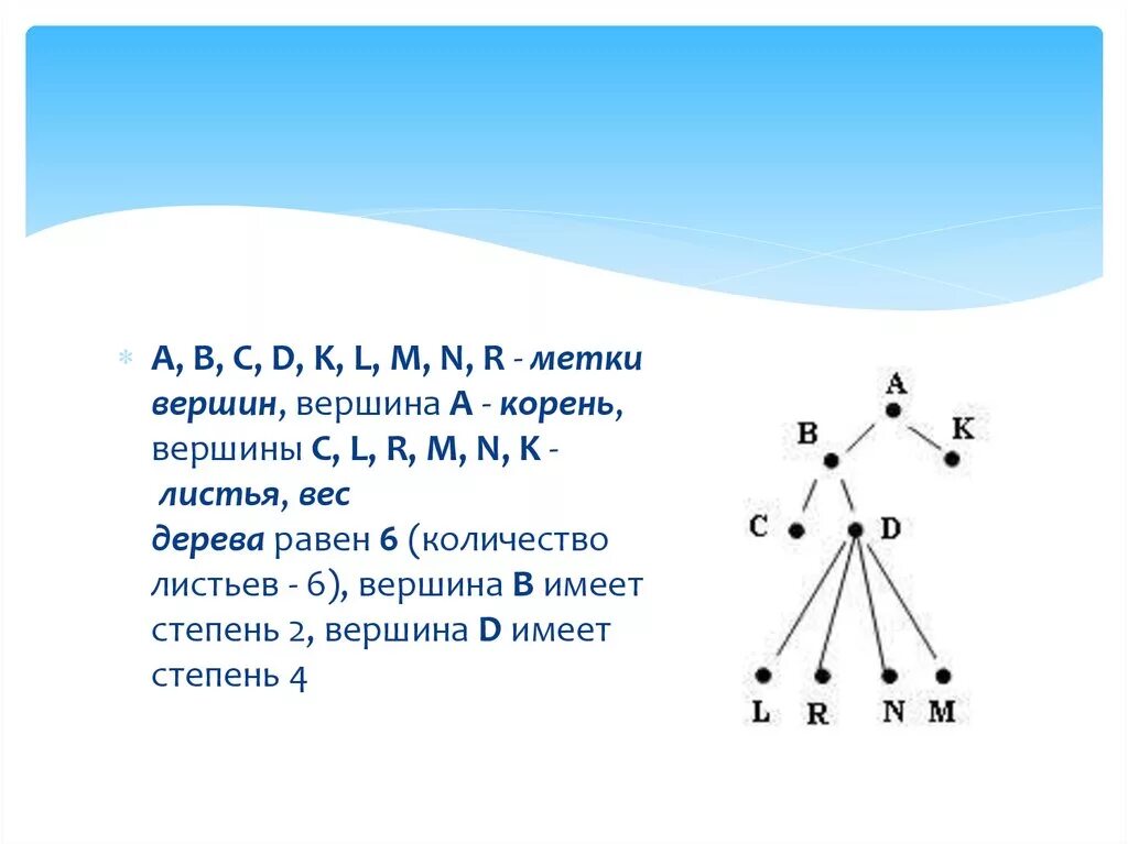 Степень вершины графа дерева. Количество вершин в дереве. Максимальная степень вершины графа. Листовые вершины в древе.