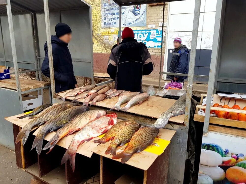 Торговля рыбой. Астраханская рыба. Торговля рыбой с машины. Астрахань рыба рынок.