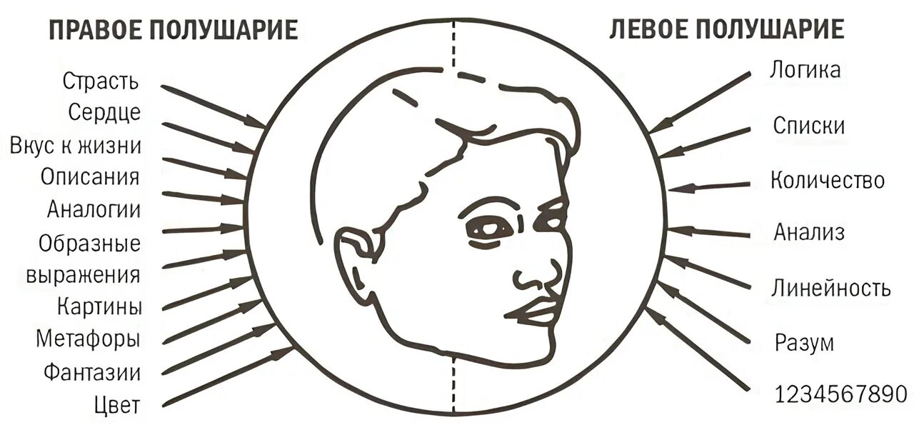 За что отвечает правое полушарие у женщин. Правое полушарие. Левое полушарие. Левое и правое полушарие мозга. Левое полушарие эмоции.