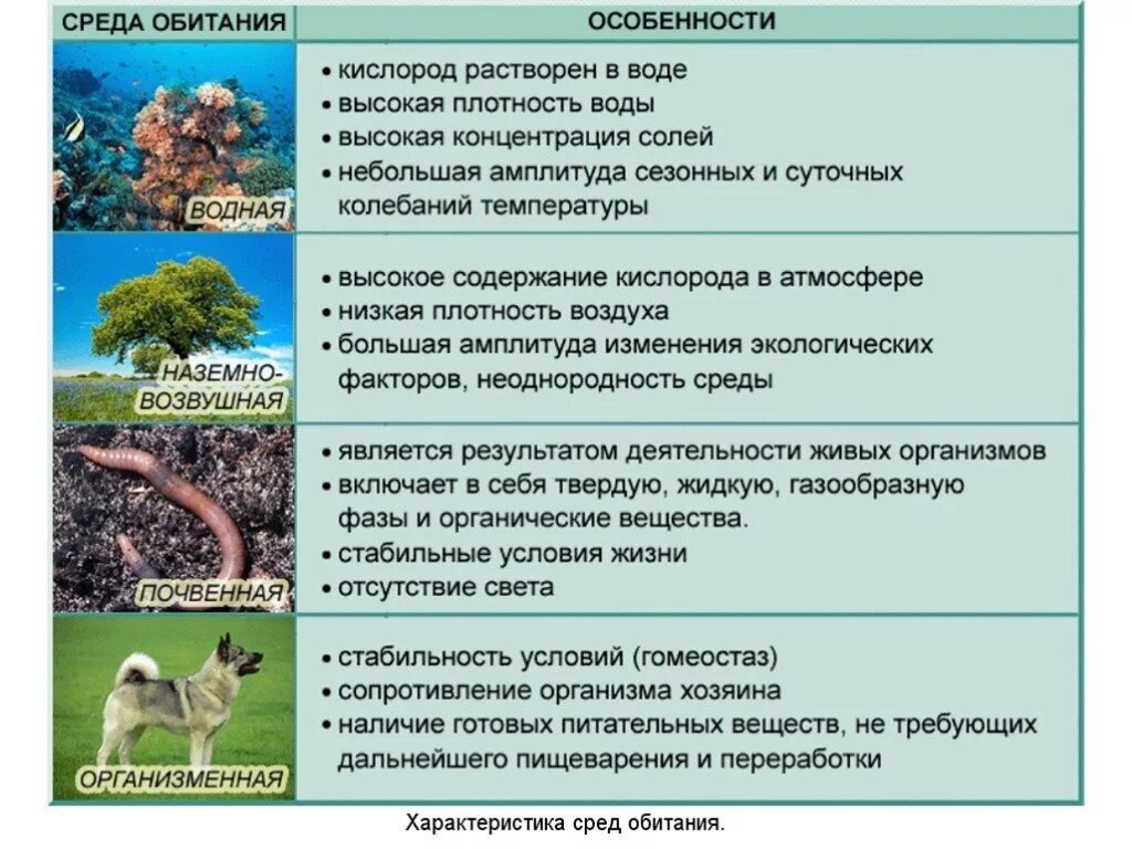 Живой организм среда обитания примеры животных