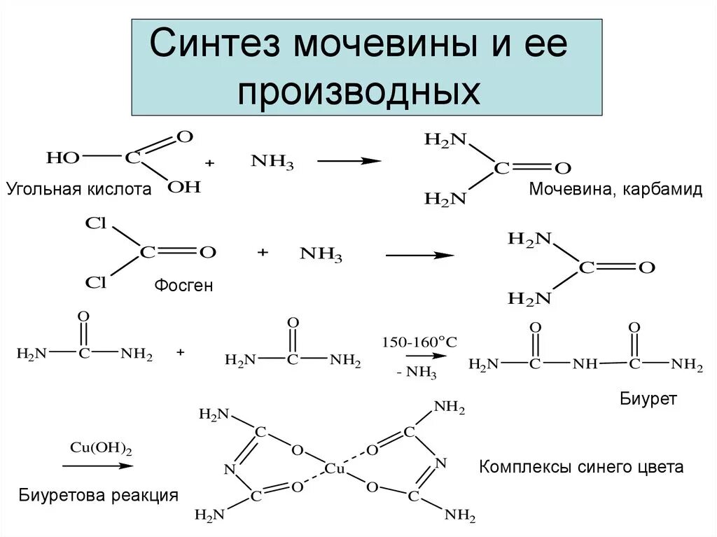 Синтез нитратов. Синтез мочевины общая реакция. Реакция получения мочевины. Химические свойства мочевины реакции. Синтез мочевины реакции.