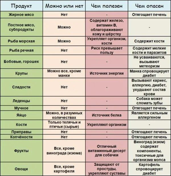 Сколько нельзя давать. Чем кормить МОПСА список продуктов. Какие овощи можно давать собаке. Список продуктов для собак. Что можно собакам а что нельзя.