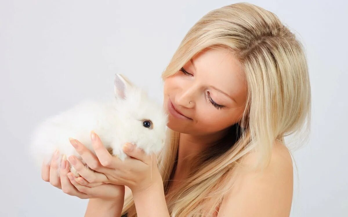 К чему снятся кролики во сне женщине. Девушка кролик. Блондинка с кроликом. Красивая девушка с кроликом. Кролик на руках.