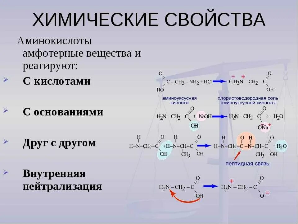 Аминоуксусная кислота уравнение реакции. Химические реакции аминокислот + со2. Характерные химические свойства Аминов и аминокислот?. Аминокислоты химические свойства со щелочами реакция. Химические свойства α-аминокислот.