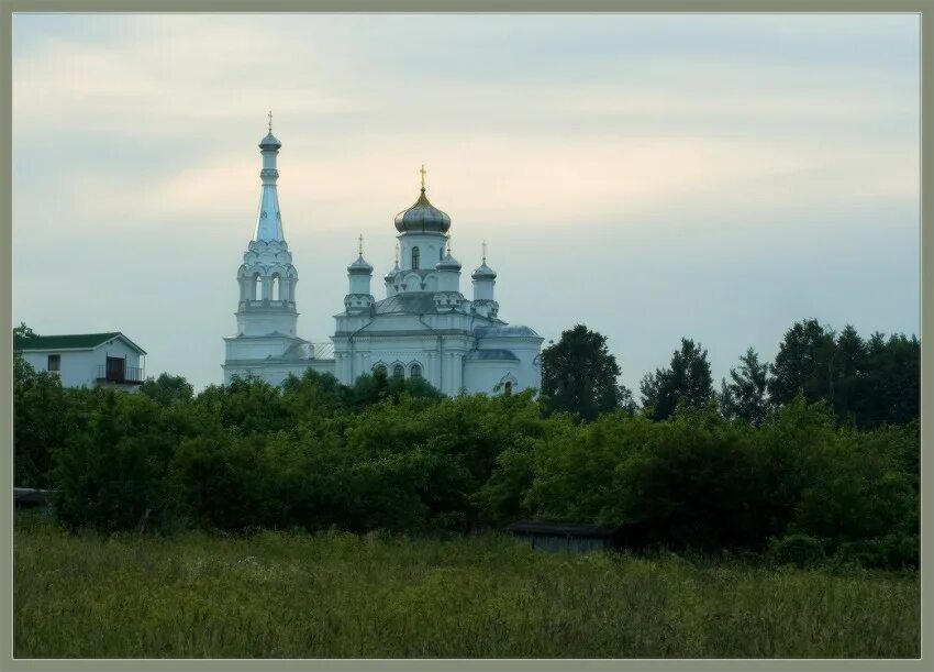 Деревня низино ломоносовского. Храм Александры Низино. Низино Ломоносовский район храм Александры. Церковь в Низино Ломоносовского района. Церковь Святой мученицы Александры в Низино.