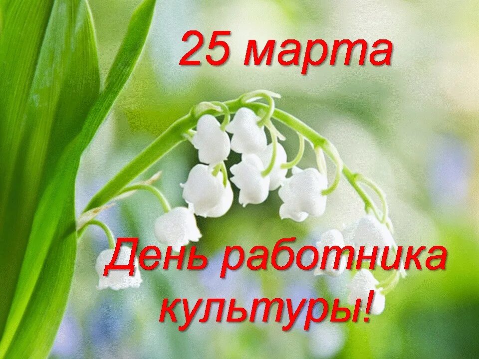 День работника культуры фото поздравления. С днем работника культуры. с днем работника культуры открытка. с днем работника культуры поздравления.