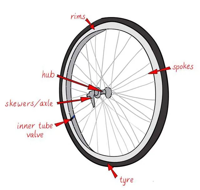 Велосипедное колесо вид спереди. Колесо велосипеда рисунок. Колесо велосипеда Графическое изображение. Велосипедные колеса Formula.