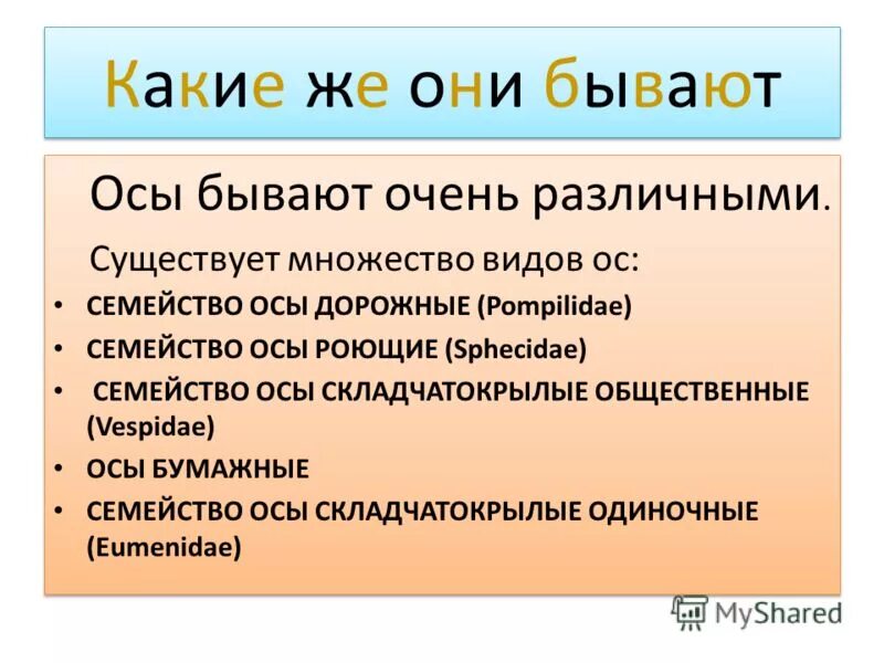 Основные средства бывают. Какие бывают ОС. Семья ОС. Какого рода бывают осы.