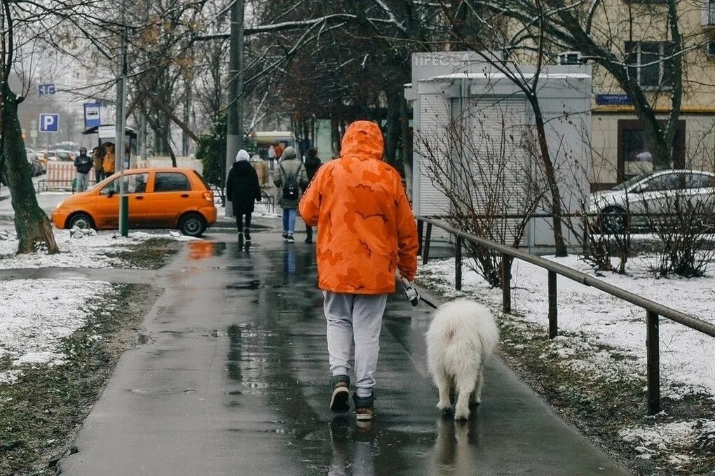 Идет потепление. Потепление в Москве. Оттепель в Москве. Люди идут в Мороз. Приезжие в Москве.