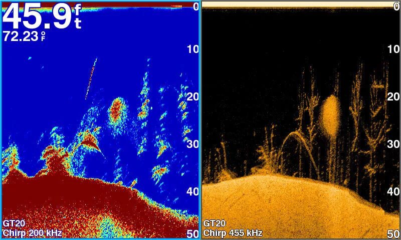 Боковое сканирование эхолот. Изображение рыбы на эхолоте. Структура дна на эхолоте. Скриншоты с эхолотов Гармин.