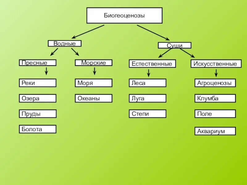 Разнообразие биогеоценозов. Многообразие экосистем. Схема разнообразия экосистем. Многообразие биогеоценозов экосистем.