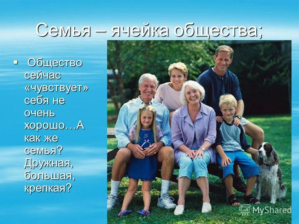 наследнтеи пеовоц лчереди. кто является семьей по закону. как относятся в семье. близкие и дальние родственники. кто является семьей по закону.