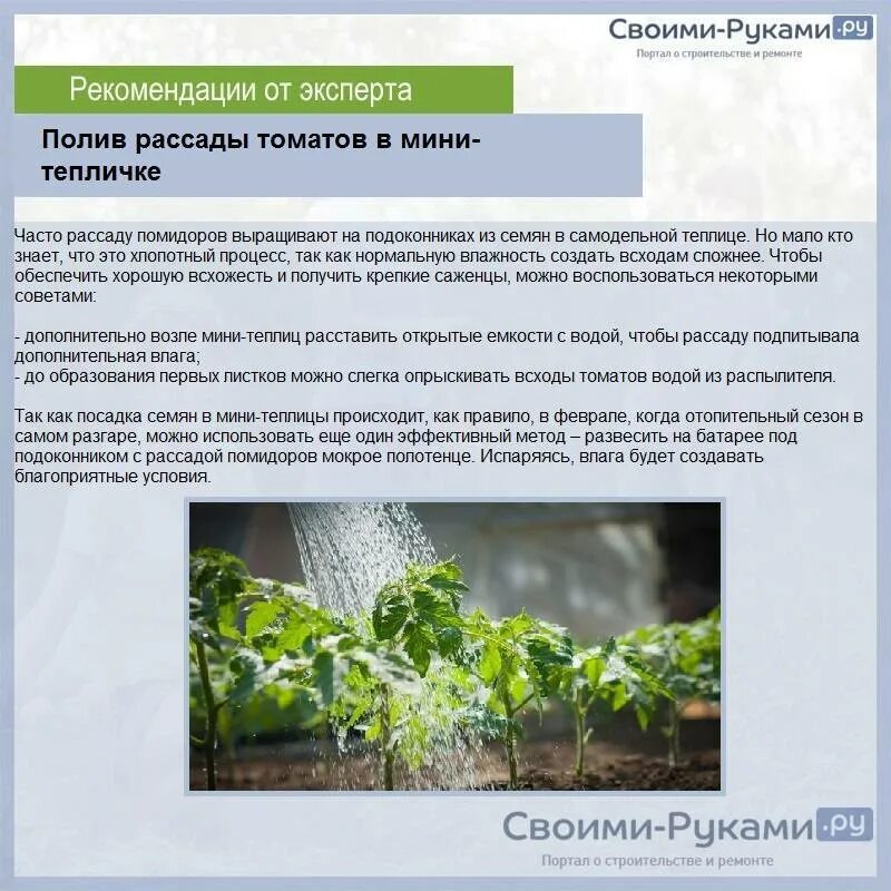 Удобрения для помидор в теплице из поликарбоната. График полива томатов в теплице. режим полива томатов в теплице. схема подкормки томатов в теплице.