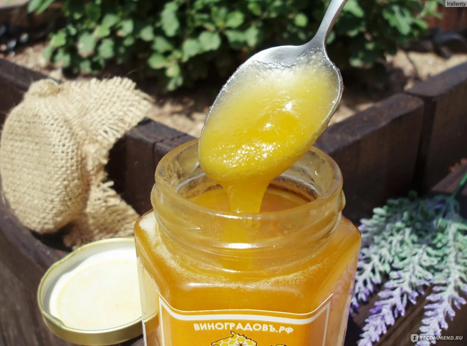 Мед Степное разнотравье. Мед цветочный разнотравье. Мед софора. Мёд разнотравье полезные. Можно греть мед