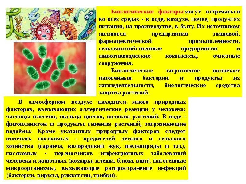 Биологические пища вода воздух. Биологические факторы. Биологические патогенные факторы. Биологическое загрязнение пищевых продуктов. Биологические факторы в медицине.