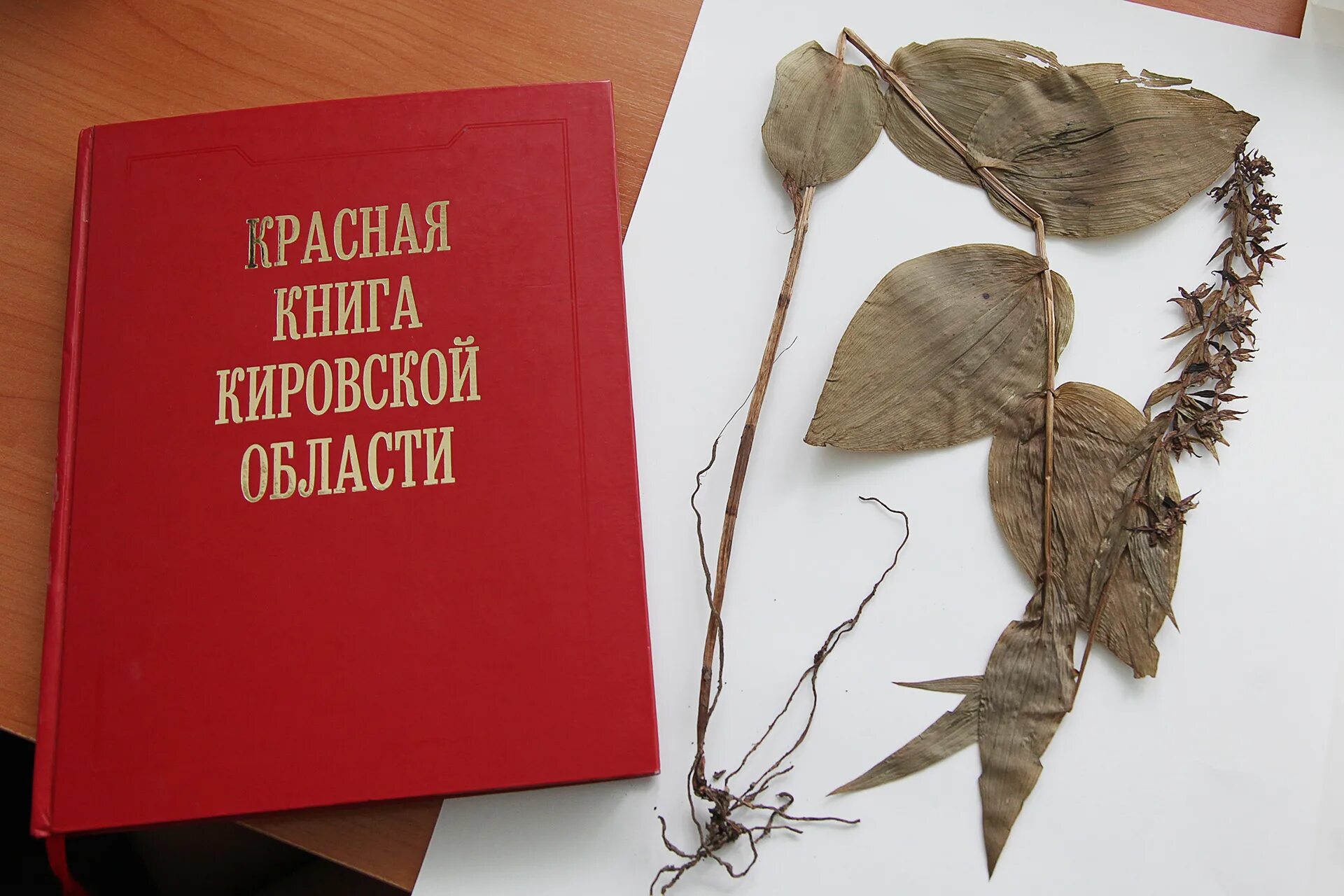 Красная книга открытки. Красная книга. Красная книга Кировской области. Красная книга Кировской области обложка. Красная книга обложка.