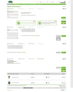 Страница оформления заказ