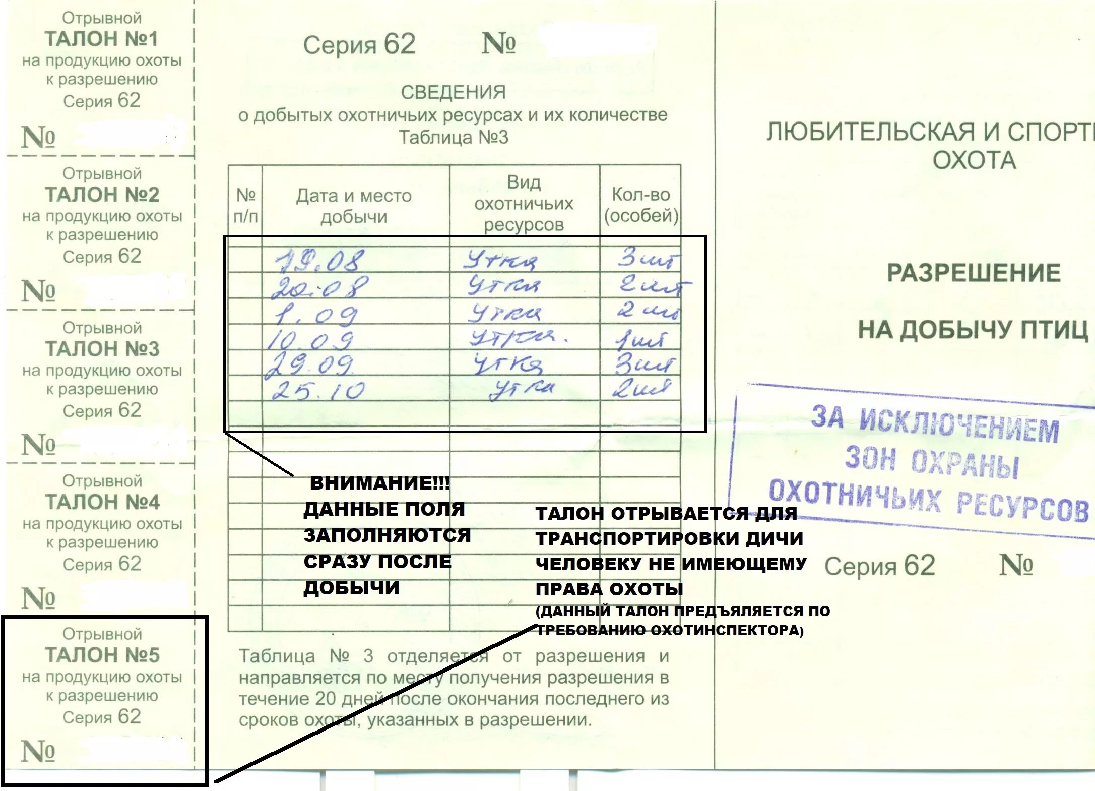 Как правильно заполнить охотничью путевку после охоты. Как правильно заполнить разрешение на добычу птиц. Как заполнять разрешение на добычу охотничьих ресурсов. Как правильно заполнять разрешение на добычу утки.