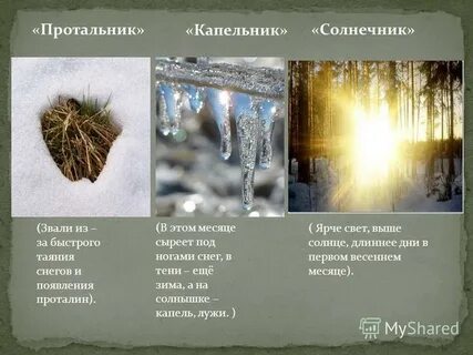 Март капельник