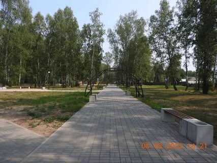 Городская роща 2