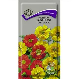 Гравилат чилийский семена