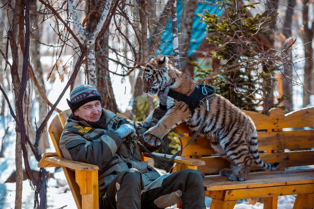 Зоопарк сафари владивосток. Приморский сафари. Сафари парк штыково. Сафари парк владивосток весной. Приморский сафари.