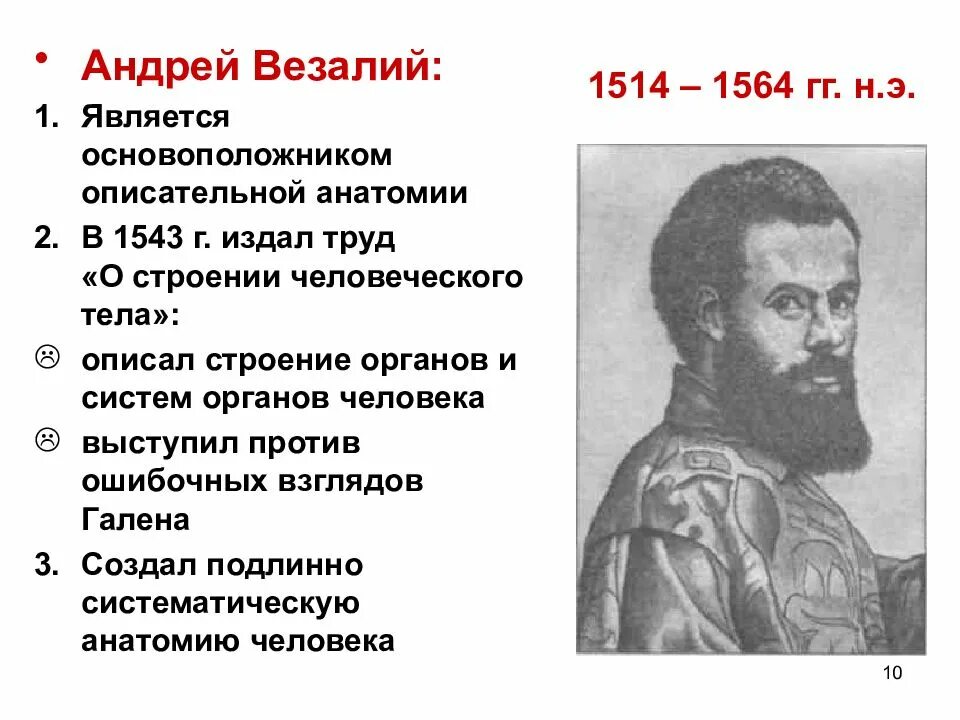 Основоположник современной научной анатомии. Андреас Везалий вклад. Андреас Везалий анатомия труды. Андреас Везалий (1514-1564). Везалий заслуги.