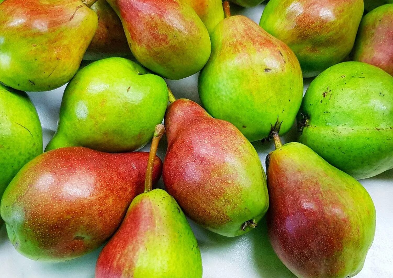 Сорт груши Нарт. Груша Пакхам. Аббат (сорт груш). Сорта груш в Кавказе.