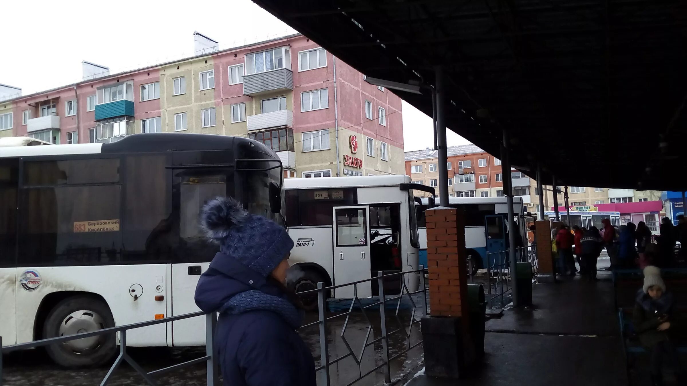 Расписание автобусов кузнецк. Автовокзал ленинский. Билет на автобус. Автовокзал кузнецк телефон справочная номер. Автовокзал ленинск-кузнецкий.