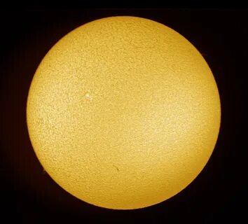 Sun 7
