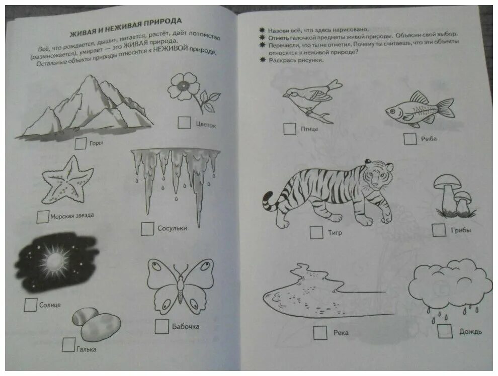 рабочая тетрадь. рабочая тетрадь. знакомимся с окружающим миром рабочая тетрадь для детей 5-6. окружающий мир для дошкольников 5-6 лет рабочая тетрадь. окружающий мир 5-6 лет рабочая тетрадь бортникова.