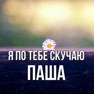 Жду пашу