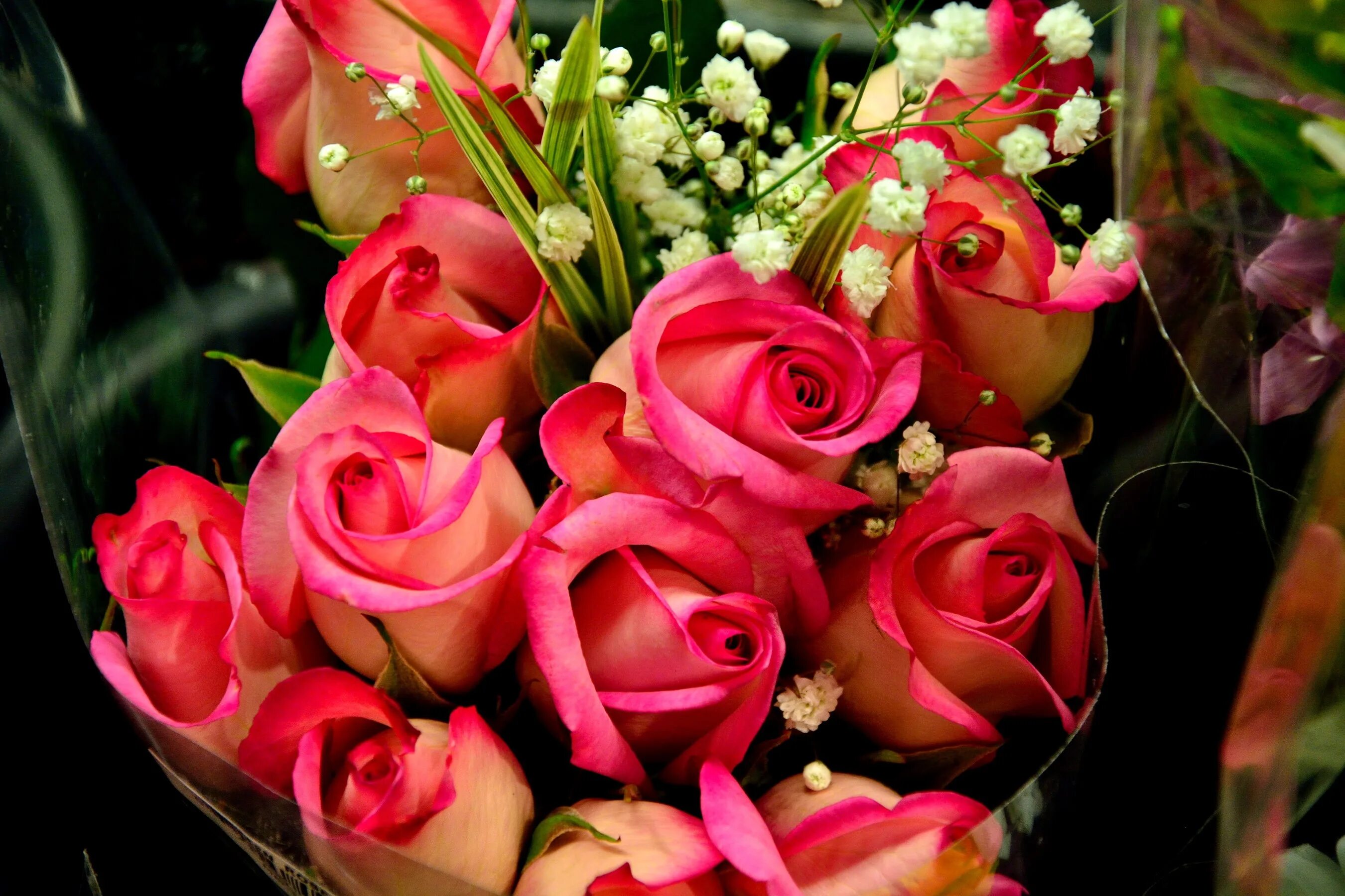 Букет цветов красивых роз фото красивые. Красивый букет цветов. Букет шикарный. Шикарный букет роз.