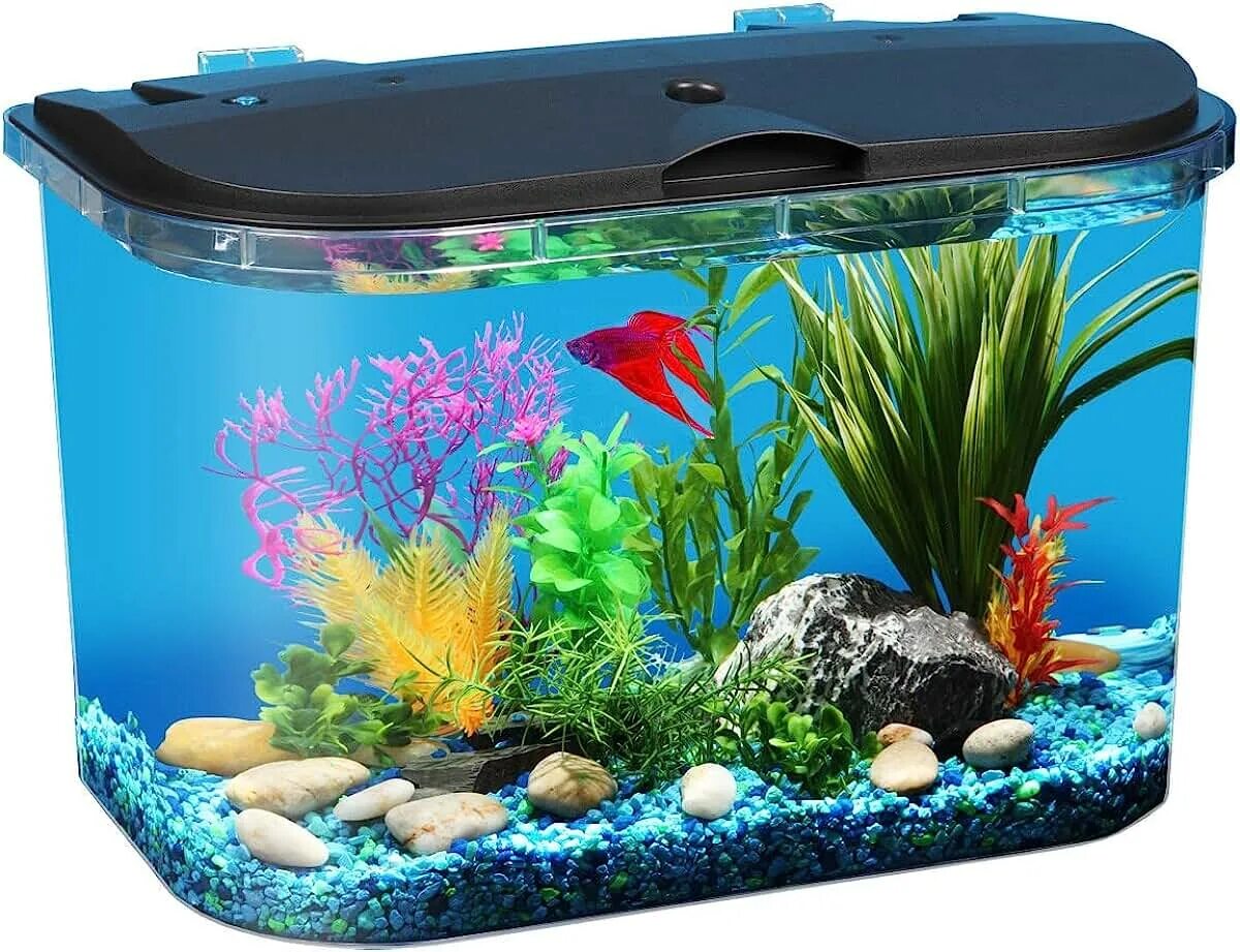 Аквариум aquarium. Аквариум (Fish Tank) 2009. Неприхотливые рыбки для аквариума 70л. Аквариум Fish Tank. Обустроить аквариум для рыбок.