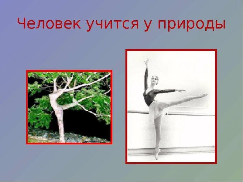 Урок изо 2 класс украшение и реальность. Изобретения позаимствованные у природы. Чему может научиться у природы строитель. Бионика. Чему может научиться у природы строитель.