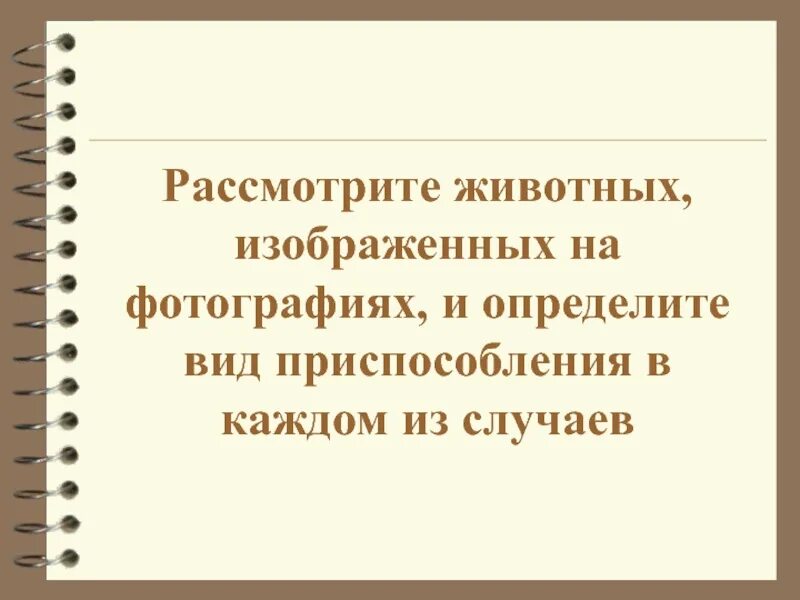 Рассмотрите животных на картинках выявите. Рассмотрите животных на картинках выявите