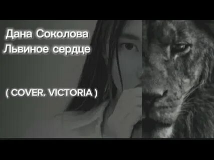 Даны соколовой львиное сердце