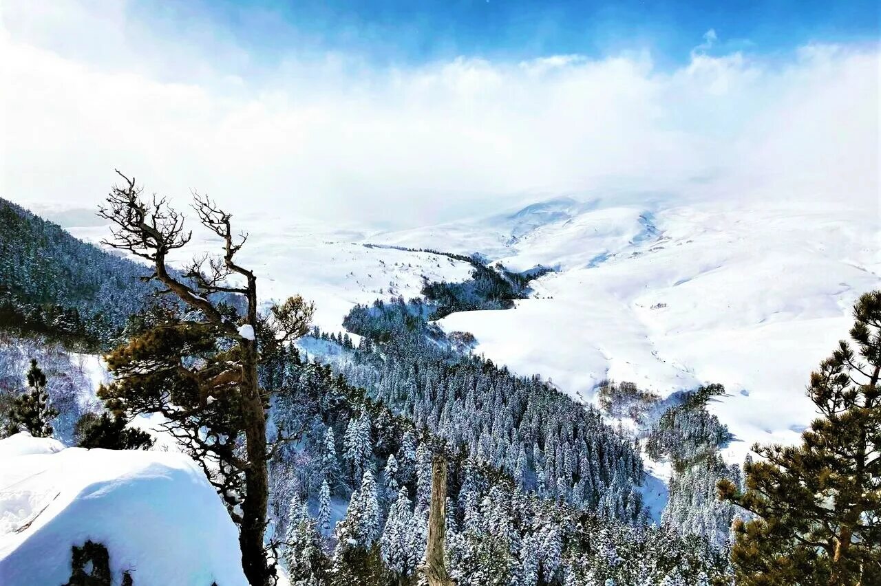 Адыгейский новый год 2024. Гузерипль зимой фото. Новый год в Адыгее. Республика Адыгея зимой. Адыгея зима фото.