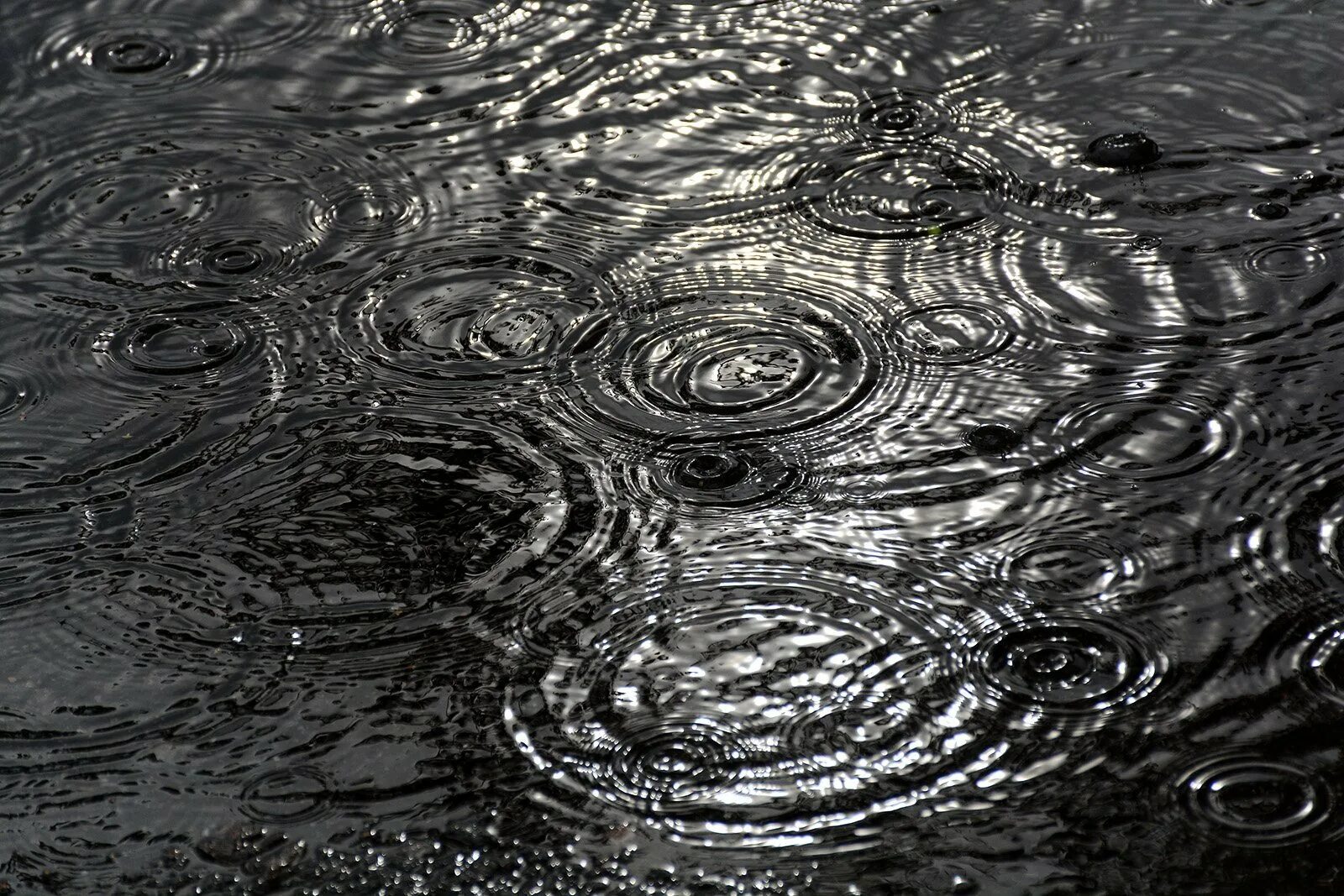 Картинки черные вода. Дождь на воде. Дождь лужи. Круги на воде. Капли дождя на воде.