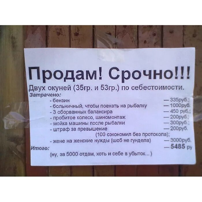 Продам двух окуней по себестоимости. Продам окуня по себестоимости. Продам окуня по себестоимости прикол. Рыба по себестоимости прикол.