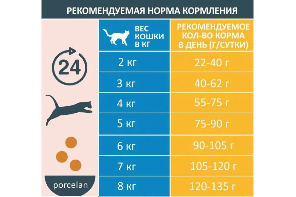 Сколько нужно кормить кошку раз в день