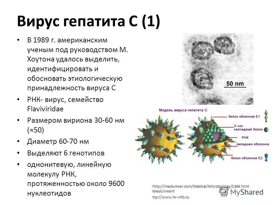 Анализ рнк вируса гепатита