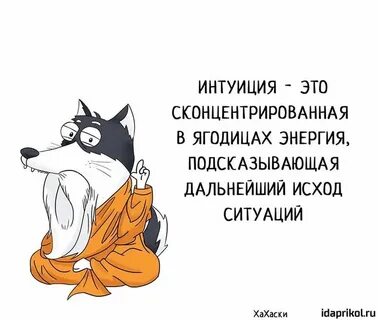 Интуитивная прозорливость