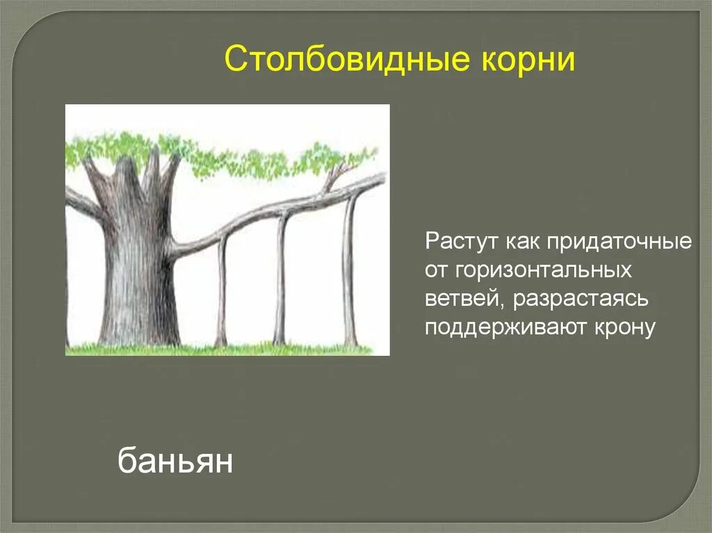 Какие примеры иллюстрируют горизонтальную