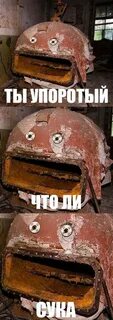 Сука что ли
