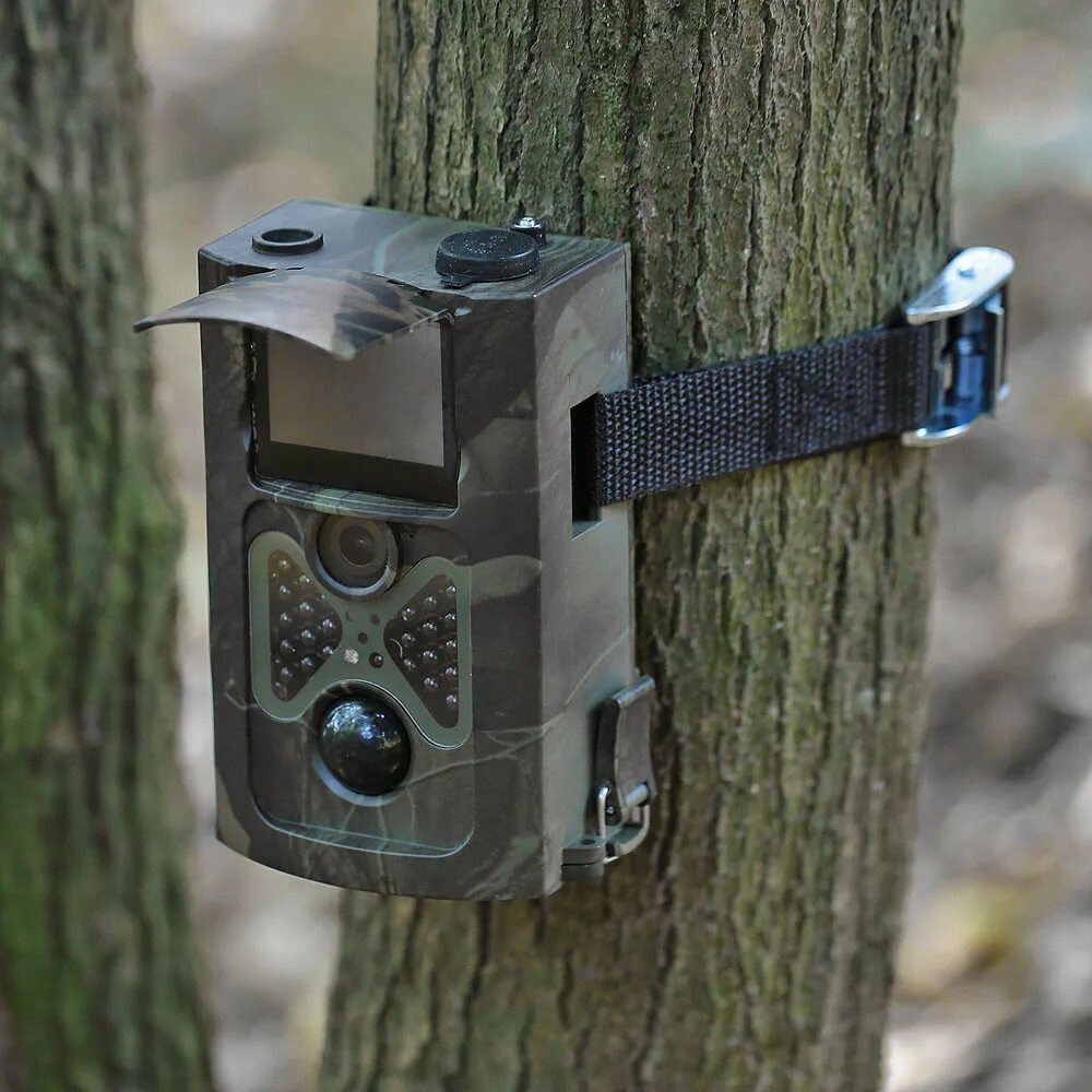 Что такое фотоловушка в биологии. Фотоловушка HC 550. Фотоловушка Trail Camera. Фотоловушка Hunting Trail. Фотоловушка (Лесная камера) Hawke Prostalk cam Mini (5 MP).